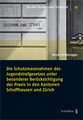 Die Schutzmassnahmen des Jugendstrafgesetzes unter besonderer Ber�cksichtigung der Praxis in den Kantonen Schaffhausen und Z�rich