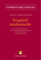 Propri�t� intellectuelle